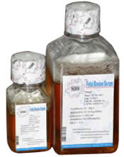 狗血清(澳洲NQBB)