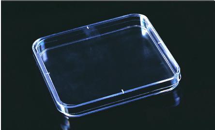 正方形培养皿（100*100*15MM）