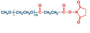 mPEG-SS 单甲氧基聚乙二醇琥珀酰亚胺琥珀酸酯