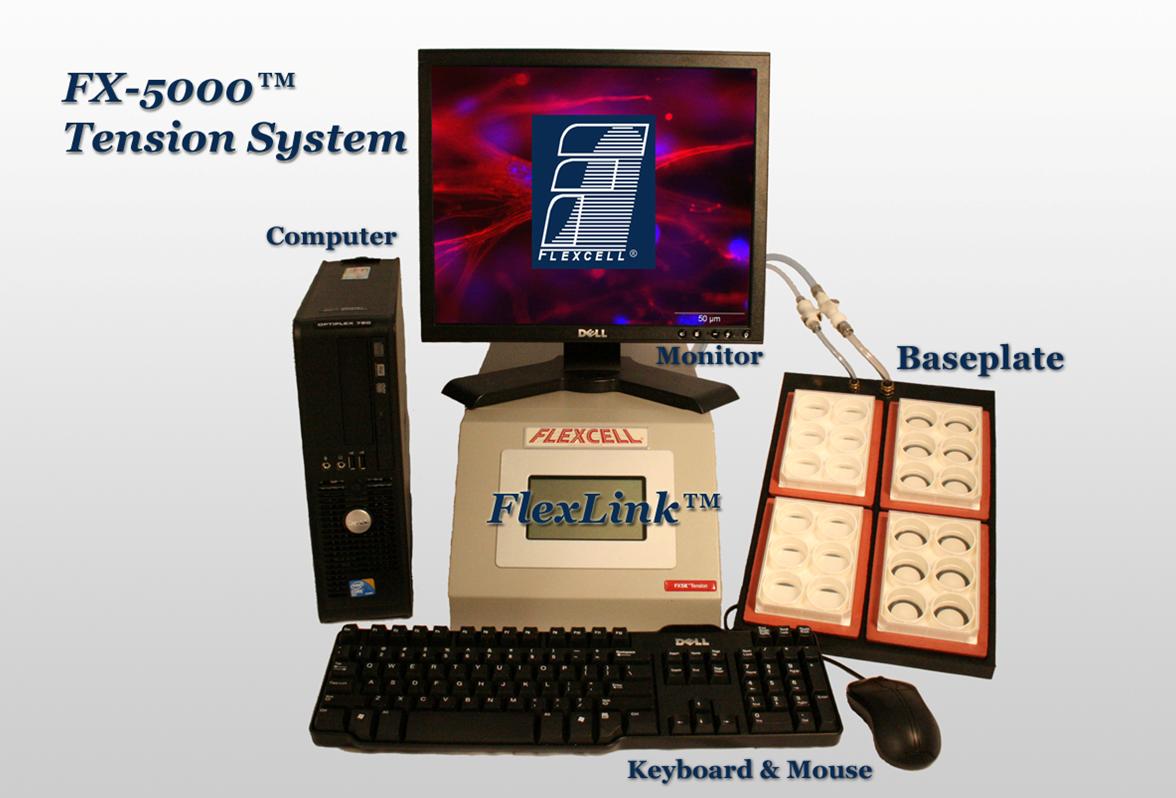 flexcell三维拉应力加载培养仪，三维压应力加载培养仪,3D CELL  tensile/ tension stress  load  culture system