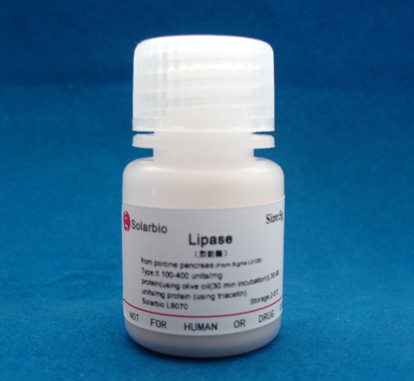 Lipase 脂肪酶 TYPE II  9001-62-1