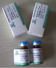 茶黄素-3-没食子酸酯(科研实验用)