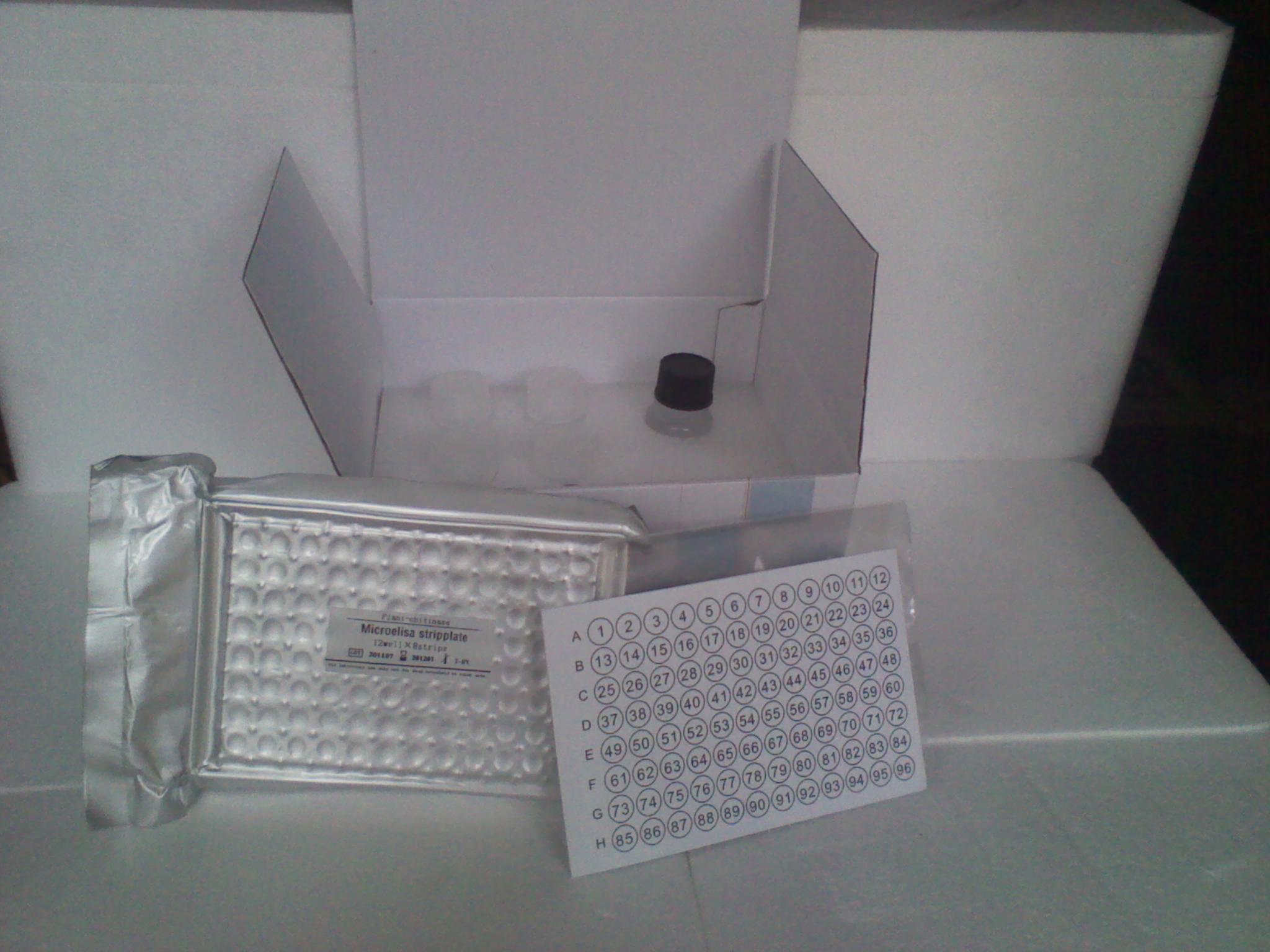 大鼠钙离子（Calcium）ELISA试剂盒