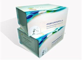 小鼠促甲状腺素释放激素(TRH)elisa试剂盒Mouse TRH (Thyrotropin-releasing Hormone) ELISA Kit