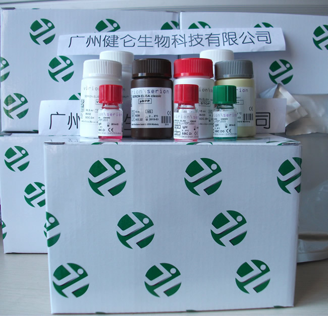 棘球绦虫，包虫病IgM抗体检测试剂盒