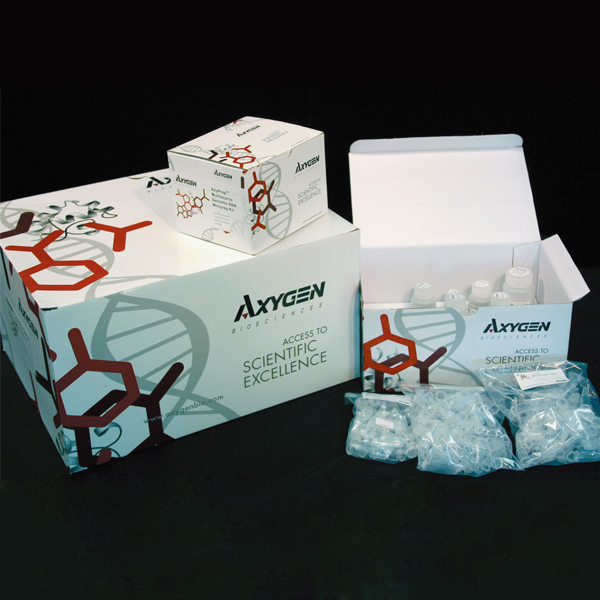 人α1微球蛋白/bikunin前体(AMBP)ELISA试剂盒