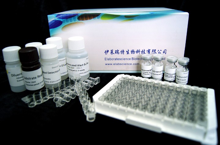 人脂联素(ADP/Acrp30)酶联免疫吸附测定试剂盒
