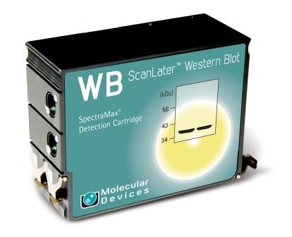 ScanLater Western Blot 检测系统 