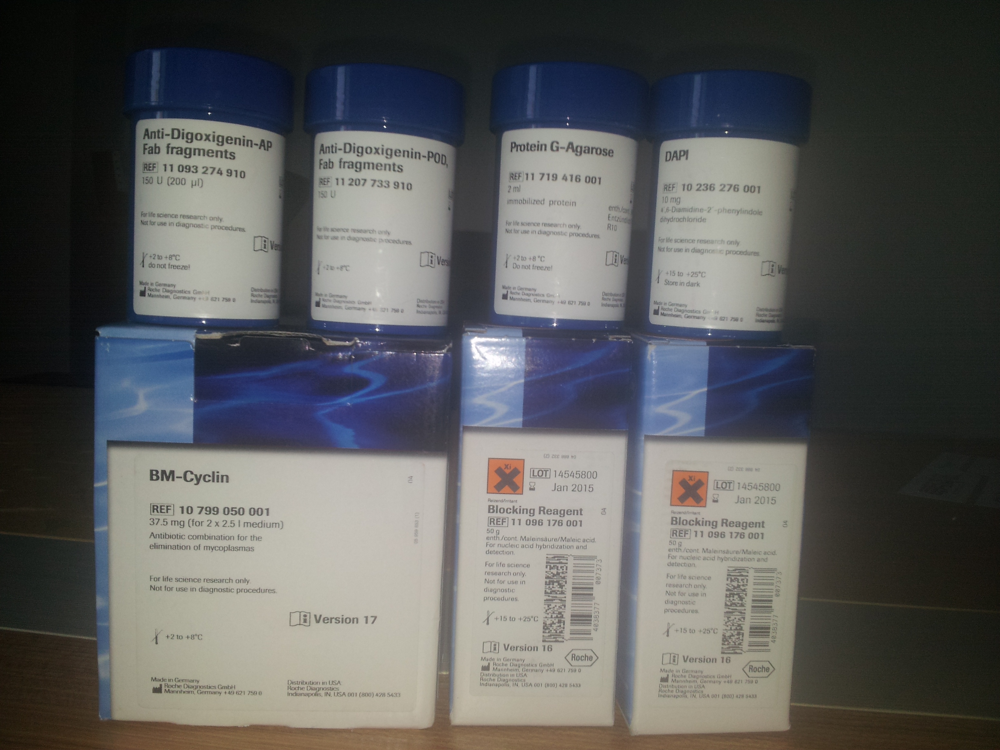 POD细胞凋亡试剂盒