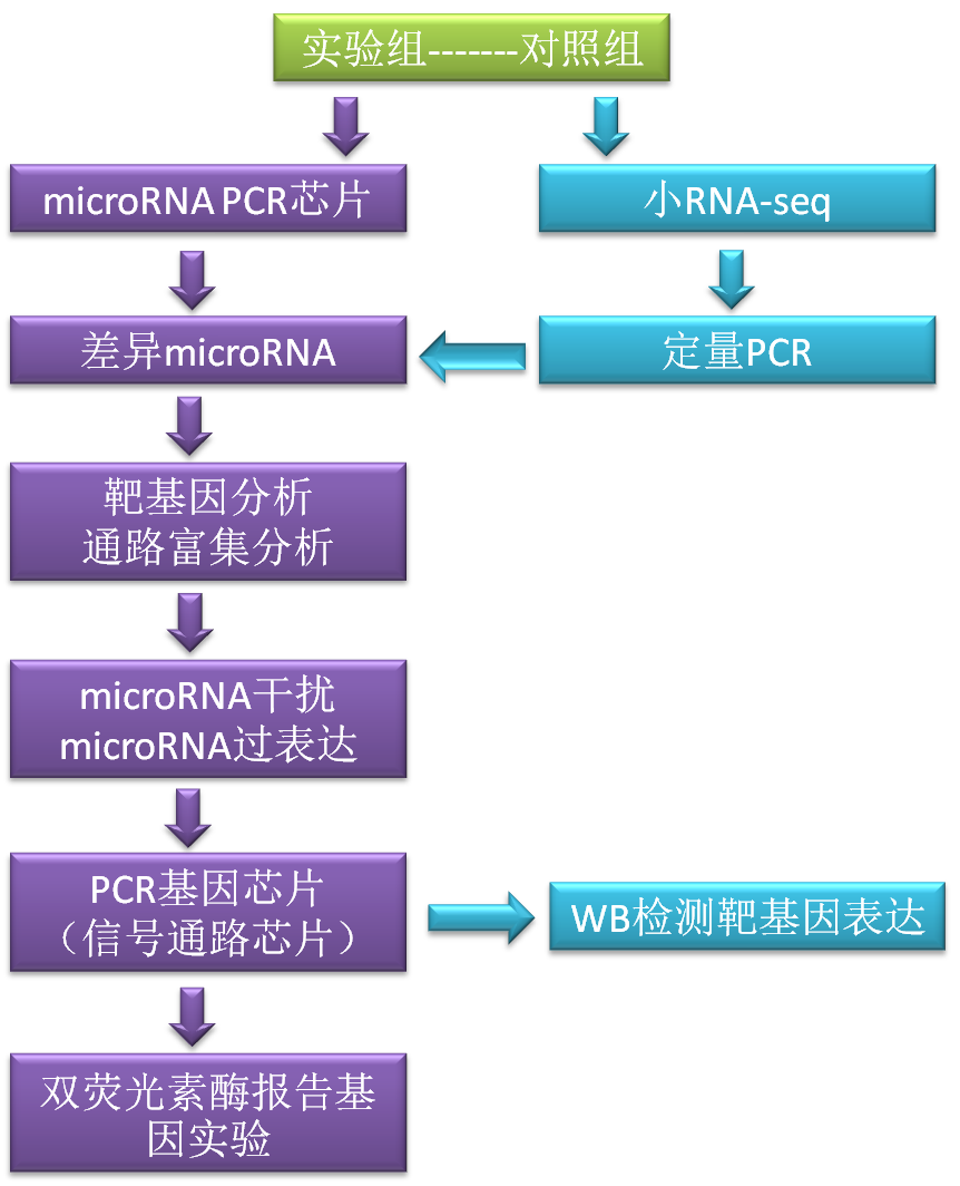 microRNA高效研究方案