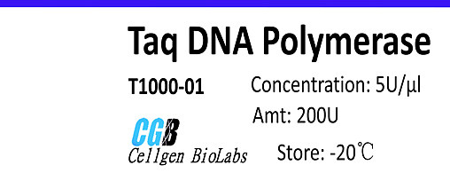 Taq DNA Polymerase（Taq 酶）