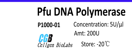 Pfu DNA Polymerase  (Pfu 酶)