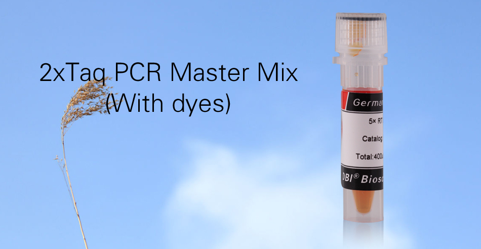 2×Taq PCR Master Mix