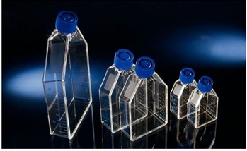 Nunc细胞培养瓶