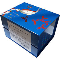 供应北京人17羟皮质类固醇(17-OHCS)ELISA试剂盒价格