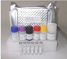 人抗呼吸道合胞病毒抗体（RSV）ELISA 试剂盒