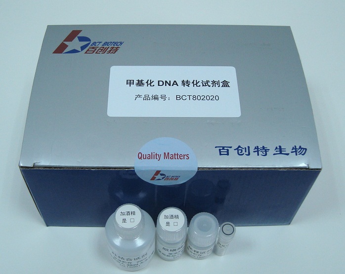 甲基化转化试剂盒
