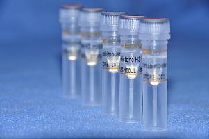 柏奥易杰 标签抗体