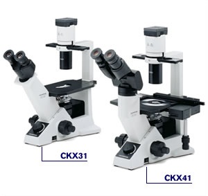 奥林巴斯CKX41倒置显微镜现货热销，日本奥林巴斯代理商