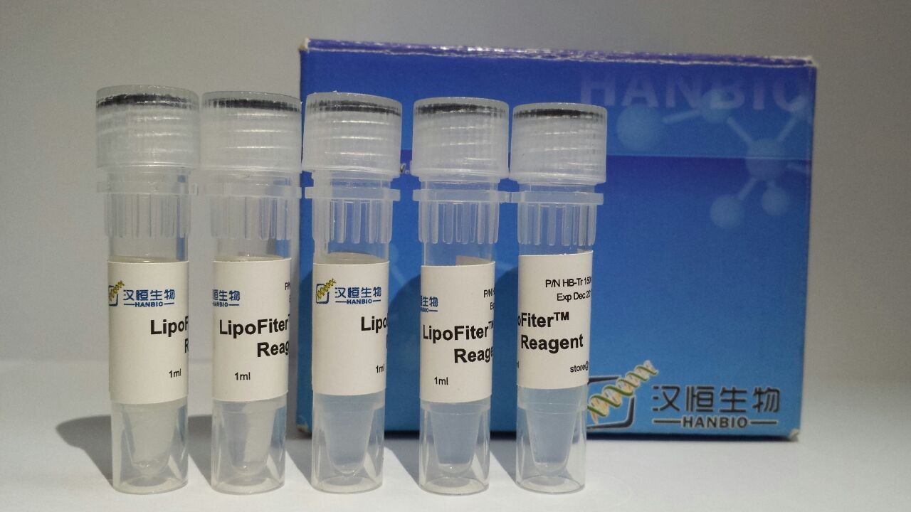 Lipo系列高效低毒细胞转染试剂