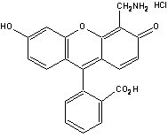 AMF[4‘-胺甲基荧光素] -AMF [4’-(Aminomethyl)fluorescein]