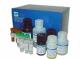 血清高密度脂蛋白-胆固醇(HDL-C)测试盒