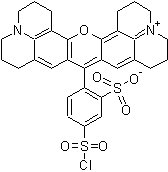 德州红[磺基罗丹明101磺酰氯] -Sulforhodamine 101 sulfonyl chloride