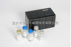 N588  动态浊度法鲎试剂（LAL）内毒素检测试剂盒