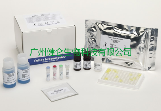 乙型肝炎病毒表面抗原检测试剂盒