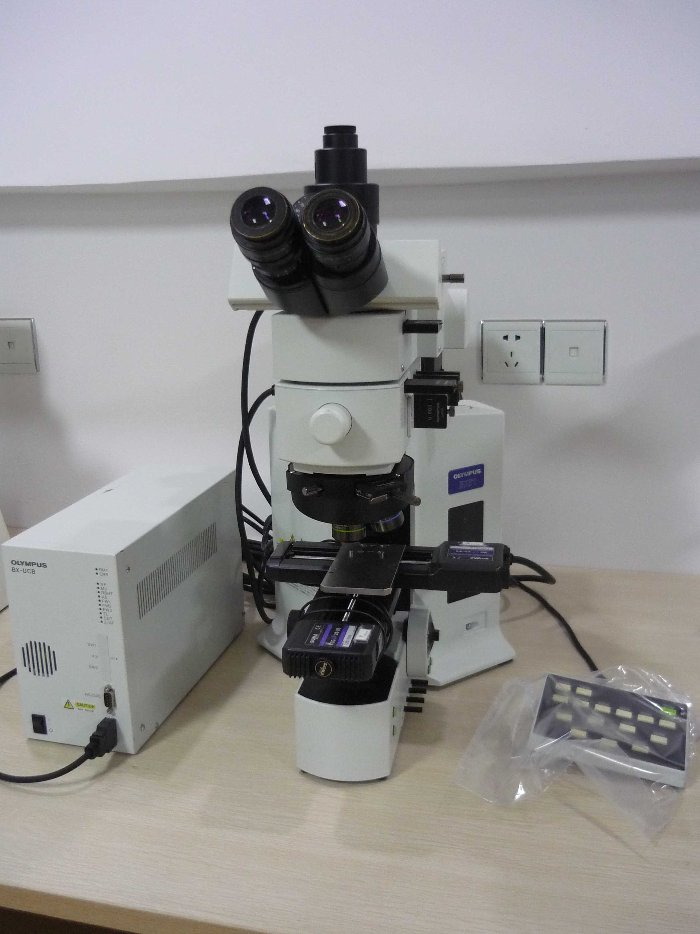 olympus奥林巴斯BX61显微镜