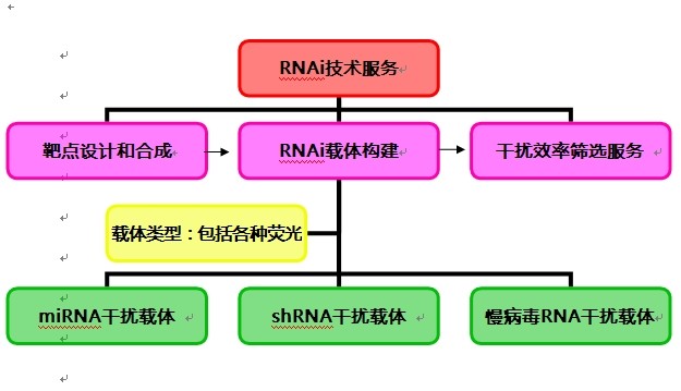 慢病毒载体RNAi基因技术服务