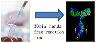 Mix-n-Stain抗体标记试剂盒
