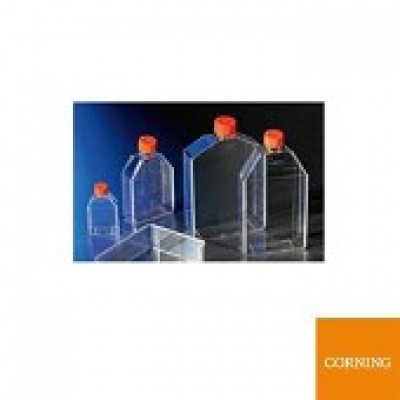 Corning 25c㎡培养瓶 直角斜颈（正方斜口）透气盖 PS（聚苯乙烯）材质 灭菌 大包装(430639),20*10/箱