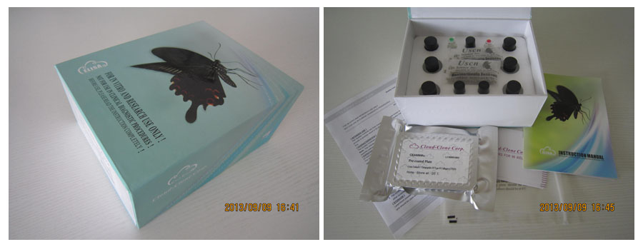 肿瘤坏死因子α(TNFα)检测试剂盒(酶联免疫吸附试验法，高敏)