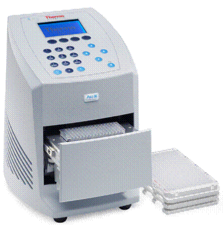 Piko快速PCR仪