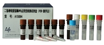 二氢嘧啶脱氢酶DPD点突变检测试剂盒（PCR-测序法）