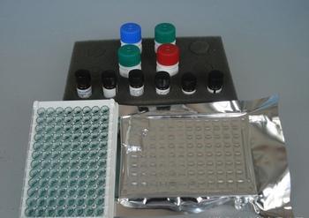 人干细胞因子/肥大细胞生长因子(SCF/MGF)ELISA试剂盒价格 说明书