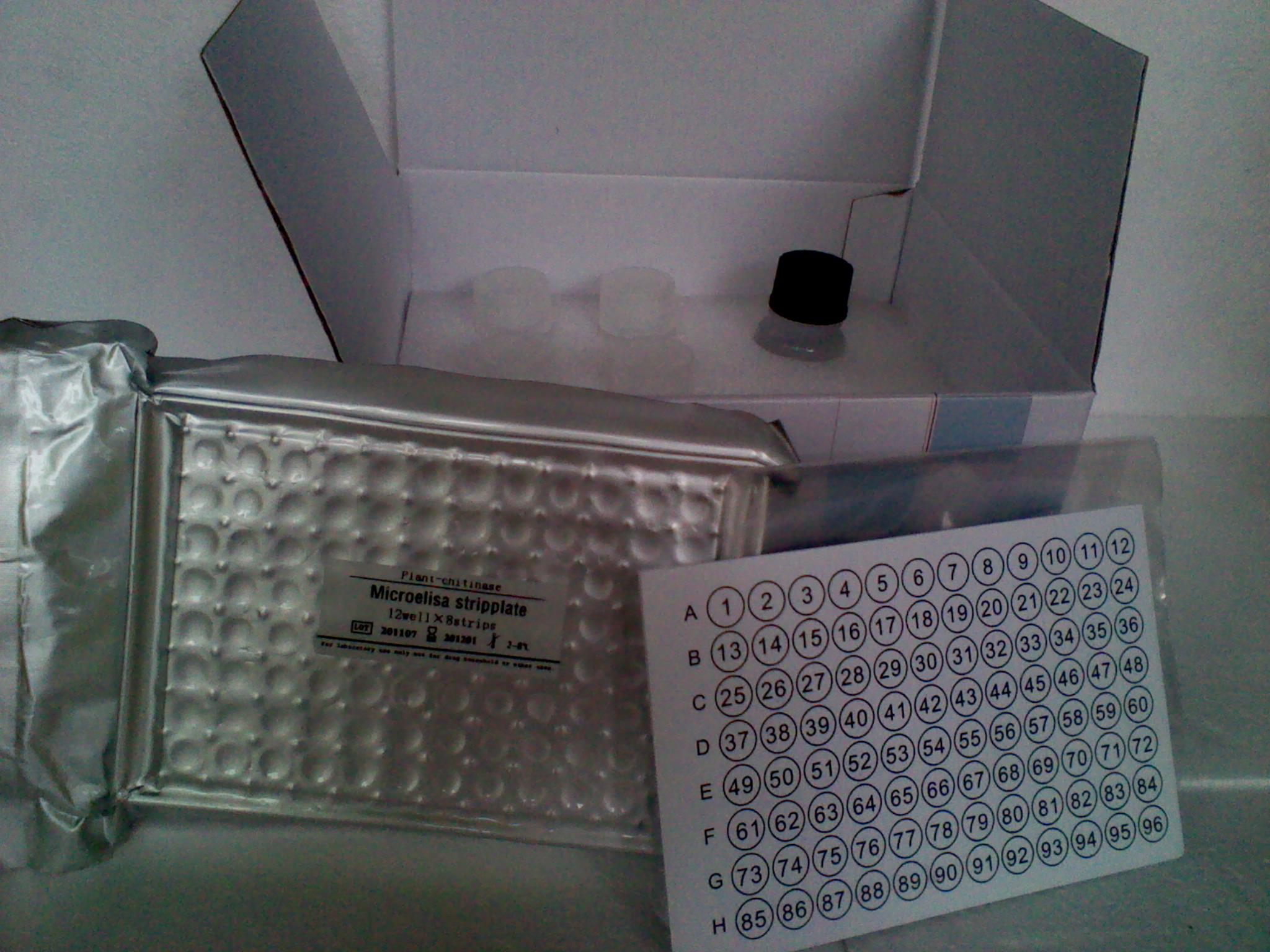 人血管生成素受体Tie1(ANG-R-Tie1)ELISA试剂盒价格 说明书