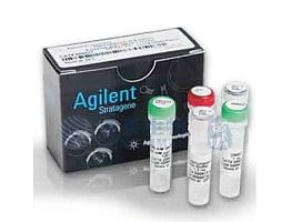 安捷伦 Agilent QuikChange Lightning Multi Site-Directed Mutagenesis Kit,10rxns , 210515