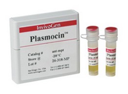 Plasmocin支原体污染的预防和去除试剂，ant-mpp/ant-mpt