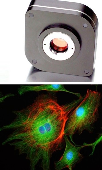 荧光专用科学级冷CCD相机