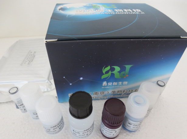 人白细胞介素-17（IL-17）ELISA试剂盒