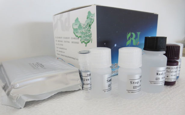 人白细胞介素35（IL-35）ELISA试剂盒