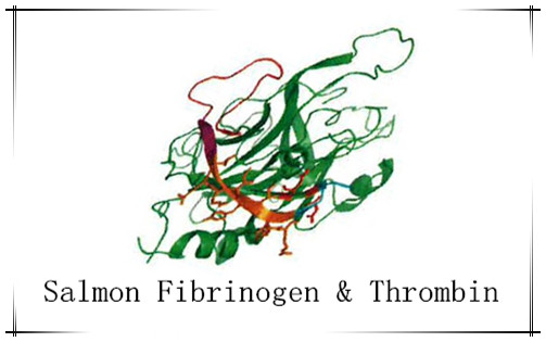 三文鱼纤维蛋白原/鲑鱼纤维蛋白原Salmon Fibrinogen