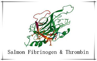 三文鱼纤维蛋白原/鲑鱼纤维蛋白原Salmon Fibrinogen