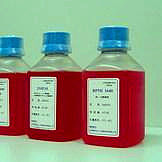 HRP标记羊抗小鼠IgG1/GoatAnti-MouseIgG1*HRP