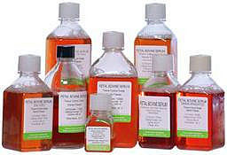 标准兔血清(无菌过滤、热灭活)