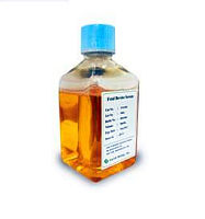 采制新生牛血清