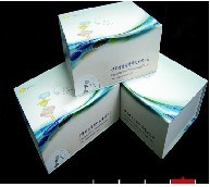 人CD30分子(CD30)ELISA试剂盒