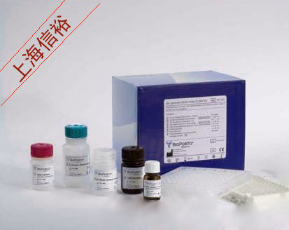 人卵清蛋白特异性IgG(OVA sIgG)ELISA试剂盒